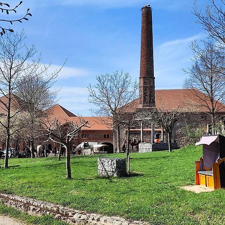 Tinyhousebeidresden 1 - Direkt Am Naturteich - Naehe Saechsische Schweiz, Dresden Großharthau Zewnętrze zdjęcie